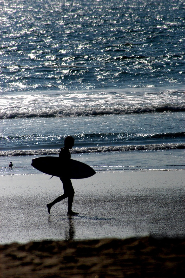 Surfer Walking On Beach © Mark Liedel.jpg